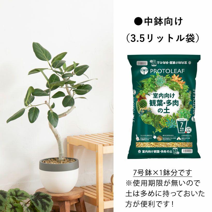 観葉植物 土 観葉植物の土 多肉植物 観葉植物＆多肉植物の土 プロト