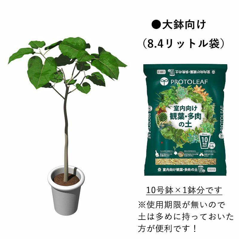 観葉植物 土 観葉植物の土 多肉植物 観葉植物＆多肉植物の土 プロト
