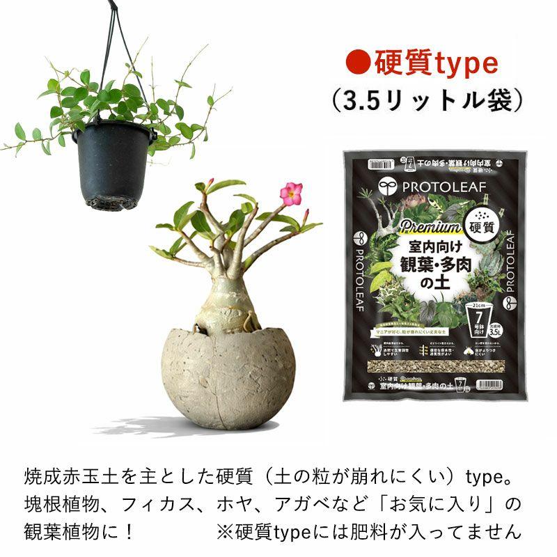 観葉植物 土 観葉植物の土 多肉植物 観葉植物＆多肉植物の土 プロト