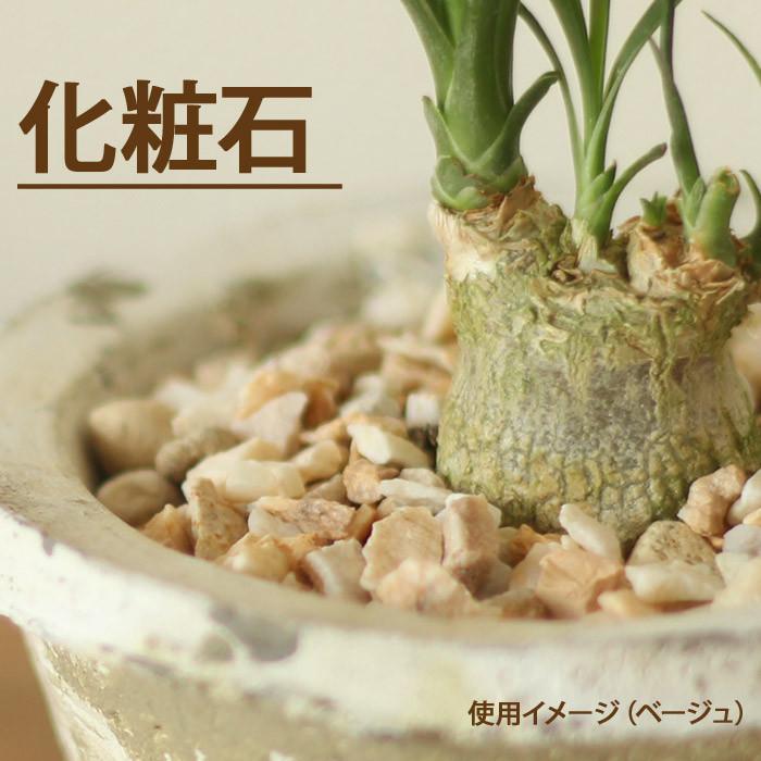 ナチュラル化粧石 小袋350g : e-花屋さん - 通販 - Yahoo!ショッピング