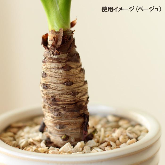 ナチュラル化粧石 小袋350g : e-花屋さん - 通販 - Yahoo!ショッピング