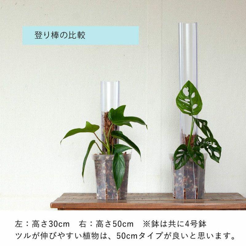 猫の登り棒 ねこの登り棒 花森家 猫のぼり棒 透明ねこ型登り棒（高さ
