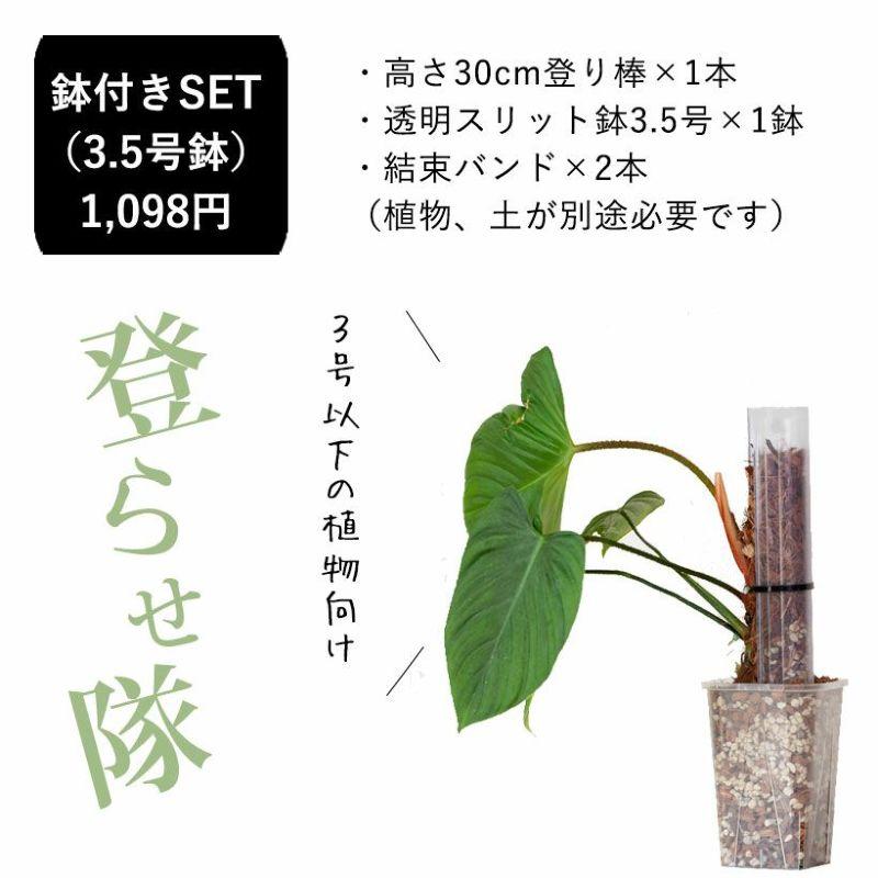 猫の登り棒 ねこの登り棒 花森家 猫のぼり棒 透明ねこ型登り棒（高さ