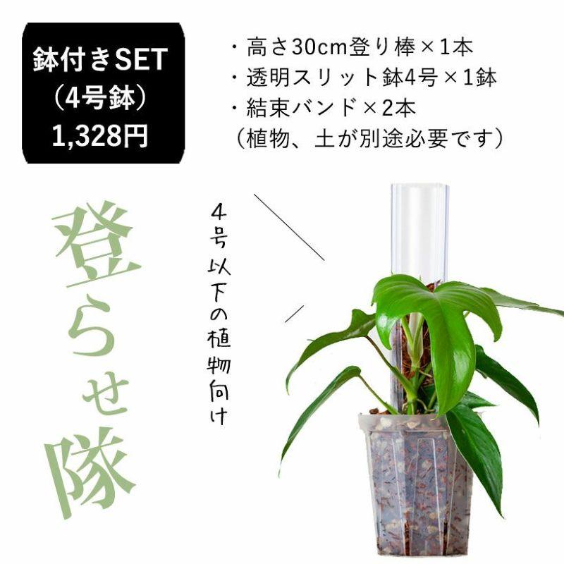 猫の登り棒 ねこの登り棒 花森家 猫のぼり棒 透明ねこ型登り棒