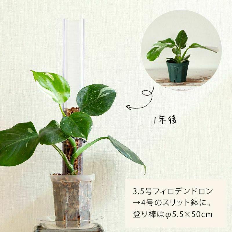 猫の登り棒 ねこの登り棒 花森家 猫のぼり棒 透明ねこ型登り棒（高さ