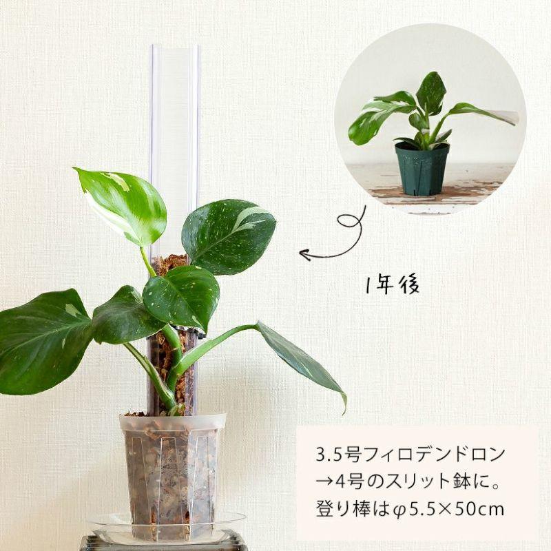 猫の登り棒 ねこの登り棒 花森家 猫のぼり棒 透明ねこ型登り棒（高さ