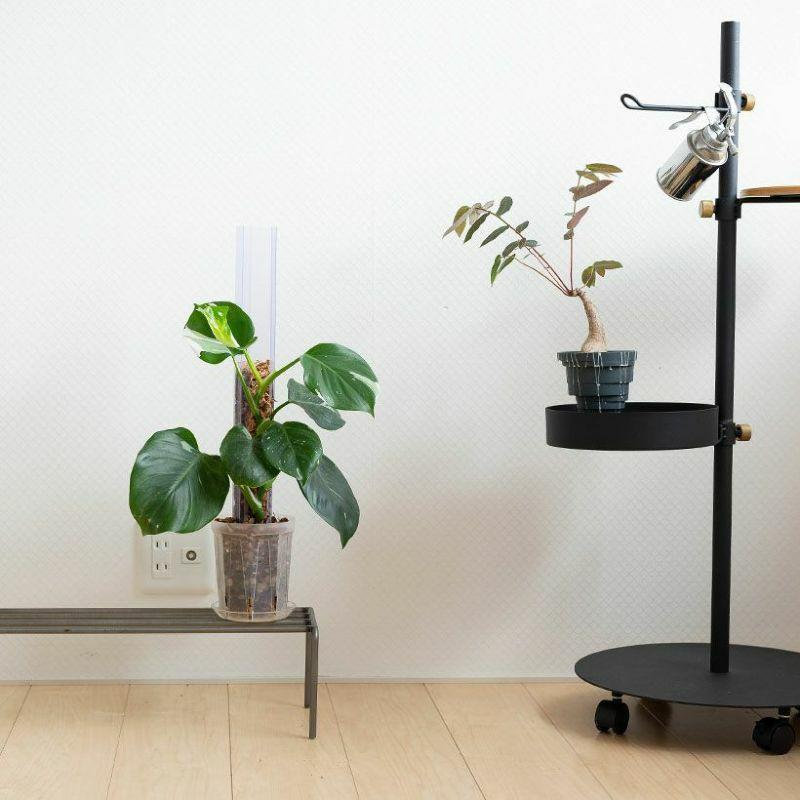 猫の登り棒 ねこの登り棒 花森家 猫のぼり棒 透明ねこ型登り棒（高さ