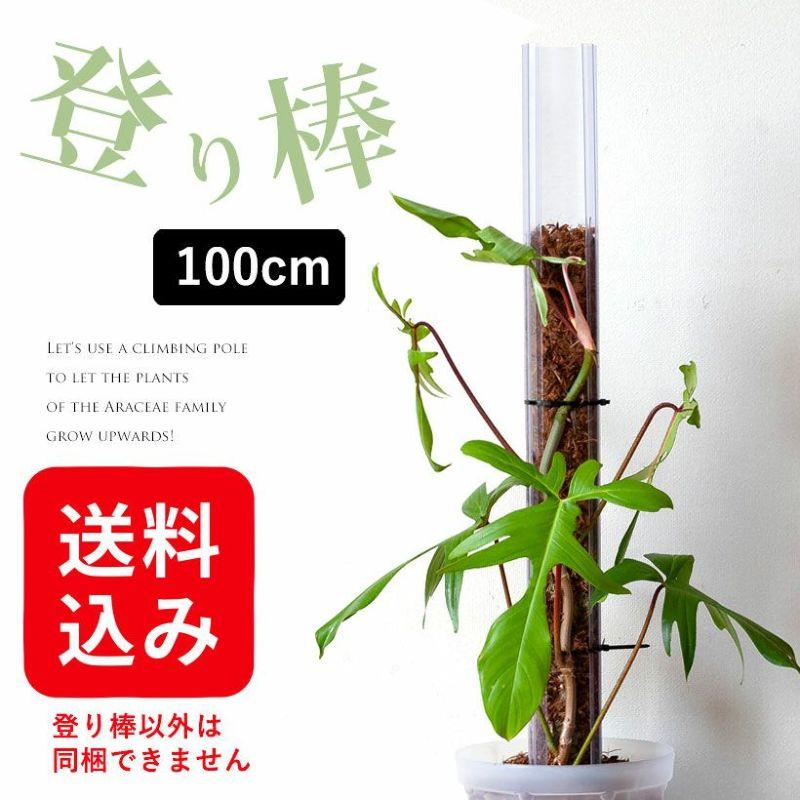 ねこの登り棒　Ｌサイズ　100cm　3本　花森家　モンステラ 猫の登り棒 ねこの登り棒 花森家 猫のぼり棒 透明ねこ型登り棒（高さ