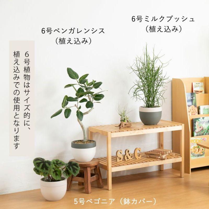植木鉢 おしゃれ 北欧 植木鉢＆鉢カバー2way使用できる北欧鉢（4〜6号