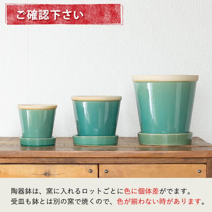 植木鉢 陶器 Mサイズ3セット 陶器鉢 植木鉢 4色から選べる、植物に合せやすい植木鉢 おしゃれ 鉢 3