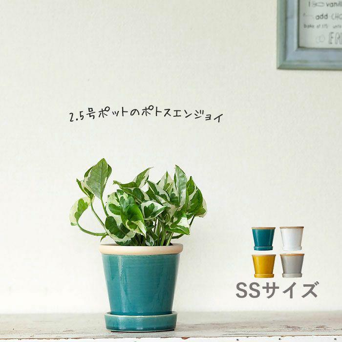 植木鉢 おしゃれ 4色から選べる、植物に合せやすい植木鉢 鉢 鉢カバー