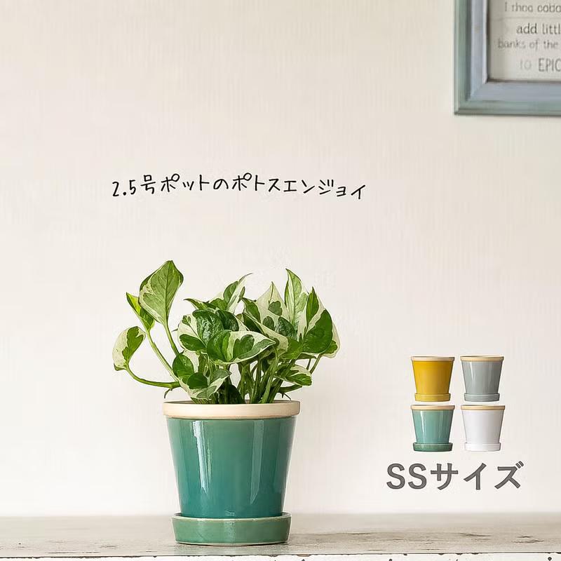 陶器鉢 植木鉢 4色から選べる、植物に合せやすい植木鉢 おしゃれ 鉢 3