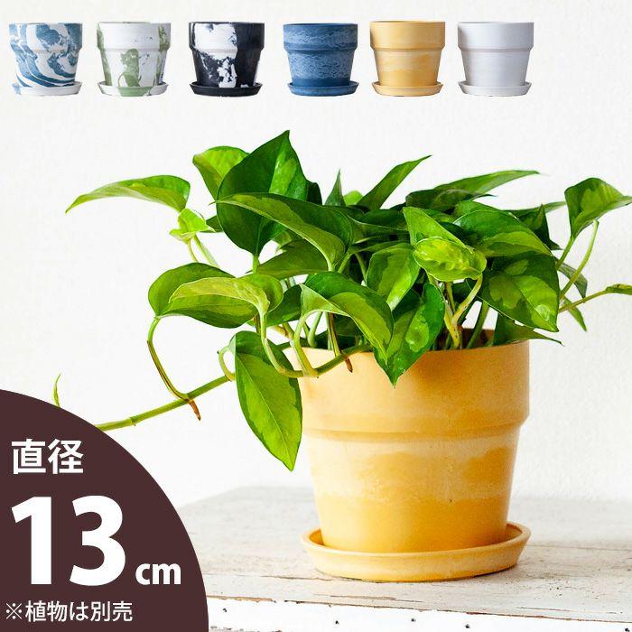 おしゃれ カラフル 軽い 可愛い 植木鉢 S 13cm E 花屋さん P 2 E 花屋さん 通販 Yahoo ショッピング