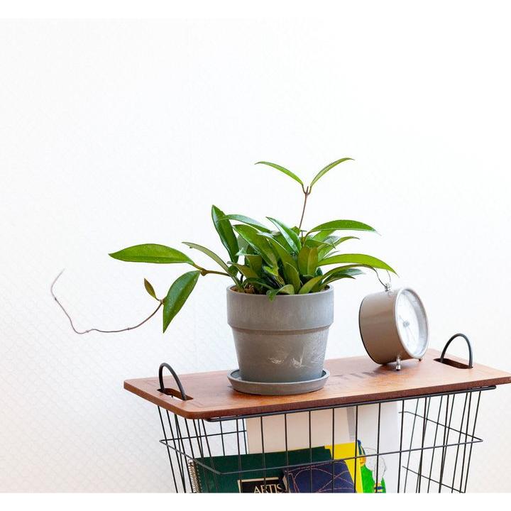 鉢 植木鉢 おしゃれ 室内 カラフル 鉢カバー 軽い、可愛い、植木鉢。S