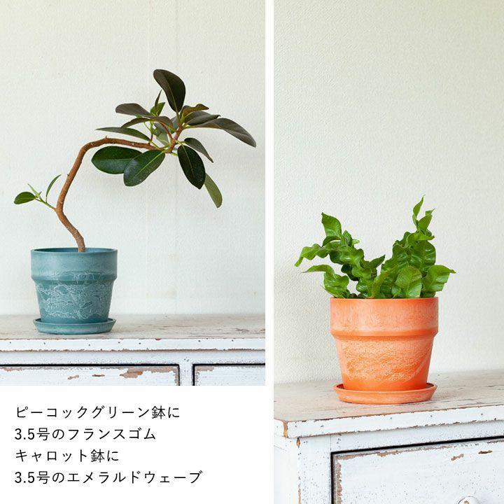 鉢 植木鉢 おしゃれ 室内 カラフル 鉢カバー 軽い、可愛い、植木鉢。S