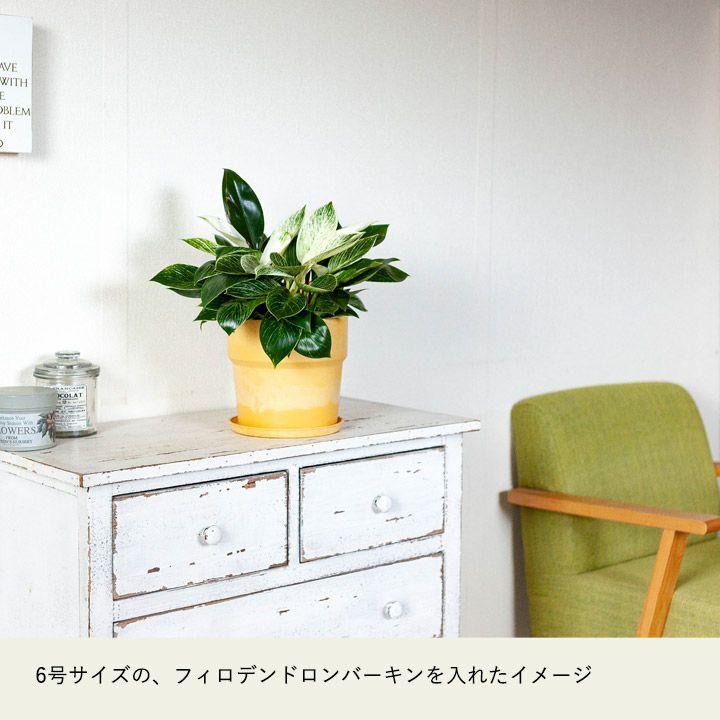 鉢 植木鉢 おしゃれ 室内 カラフル 鉢カバー 軽い、可愛い、植木鉢。M