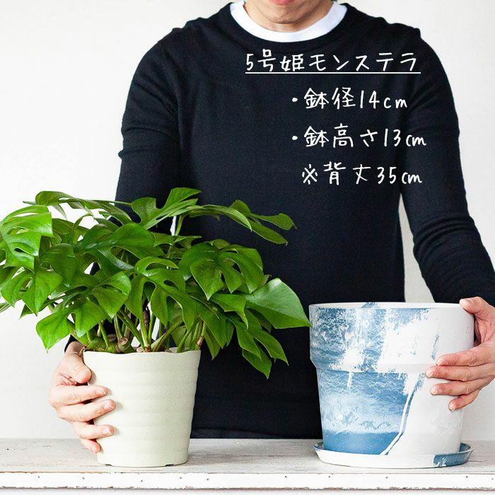 鉢 植木鉢 おしゃれ 室内 カラフル 鉢カバー 軽い、可愛い、植木鉢。M