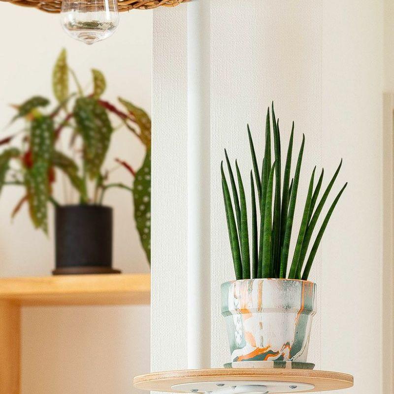 鉢 植木鉢 おしゃれ 室内 カラフル 軽い、可愛い、植木鉢。SS（10cm