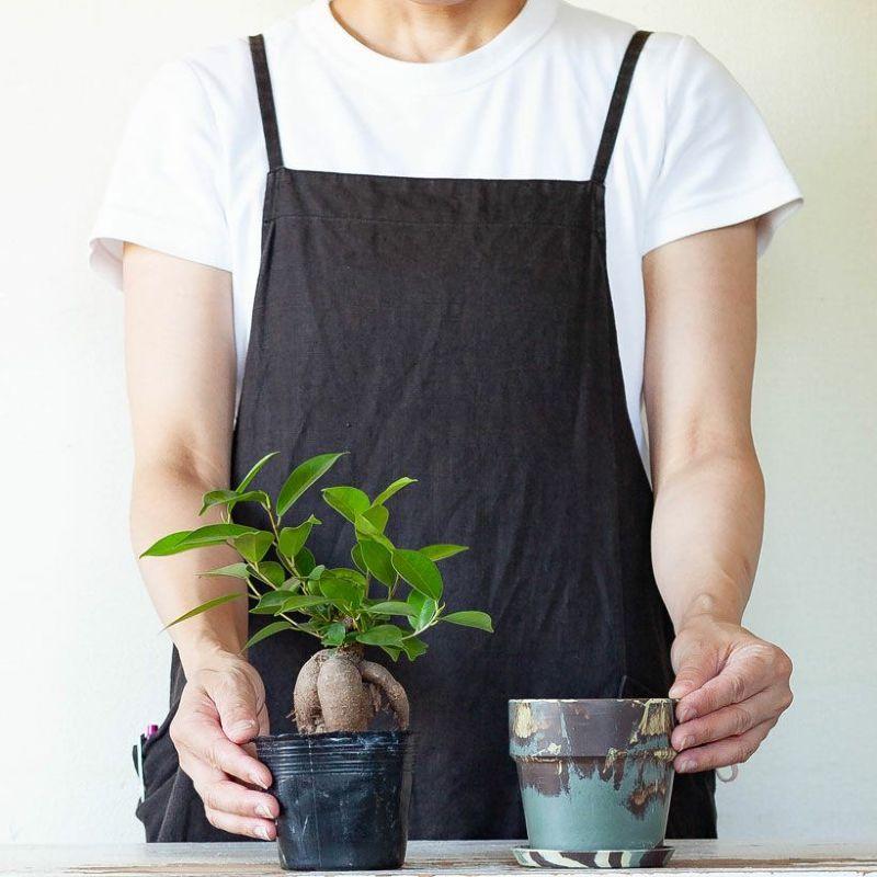 鉢 植木鉢 おしゃれ 室内 カラフル 軽い、可愛い、植木鉢。SS（10cm