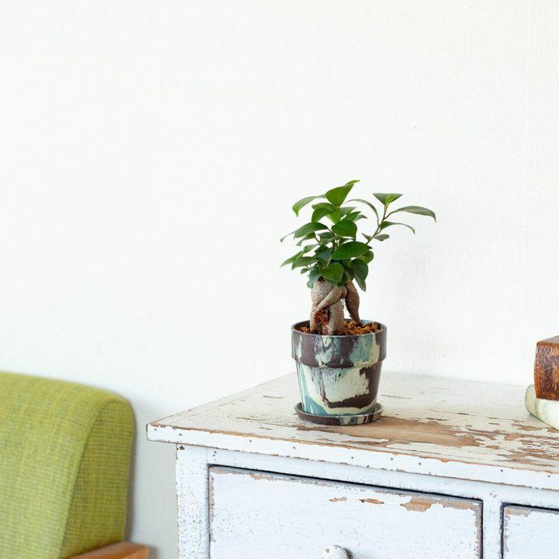 古道具　お洒落な鉢 Antique Sam's Collection未使用蔵出し 小さな植木鉢