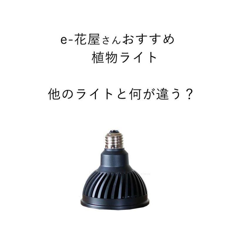 豊川温室　3個セット　植物育成ライト　プランツネクスライト　E26 豊川温室 3個セット 植物育成ライト プランツネクスライト E26