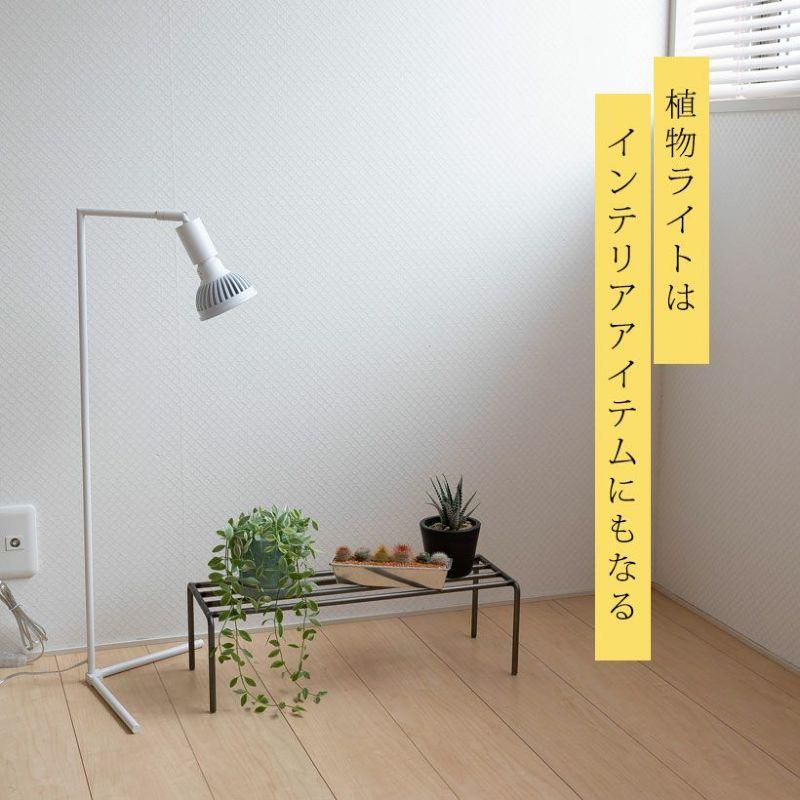 植物育成ライト led 育成ライト 植物 e26 電球 観葉植物 ライト 「観葉