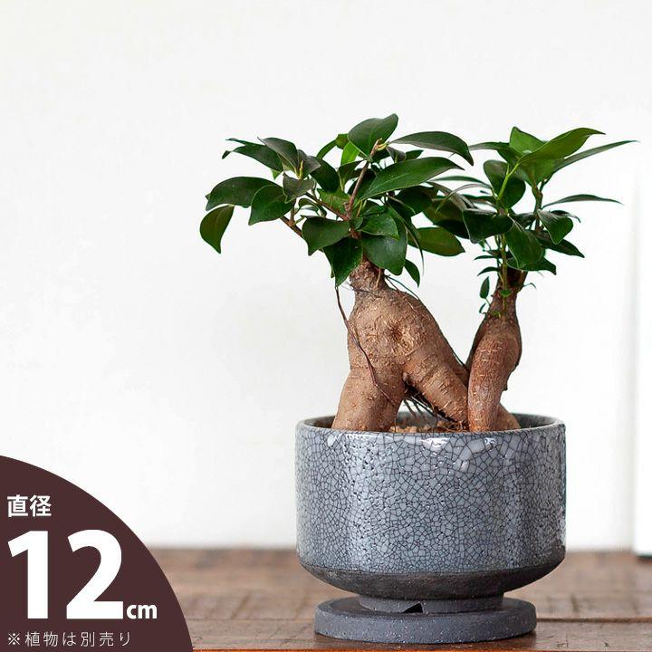鉢 植木鉢 陶器 モダン 国産・お椀みたいな浅型陶器鉢（渋くて