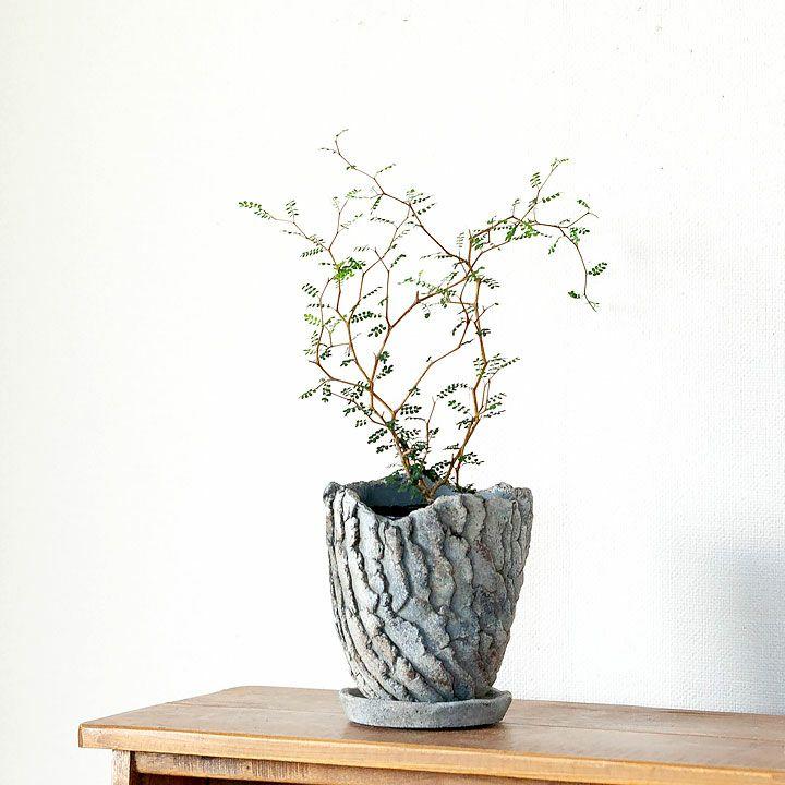 鉢 植木鉢 おしゃれ 個性的 ゴツゴツ、石っぽくてカッコいい化粧鉢