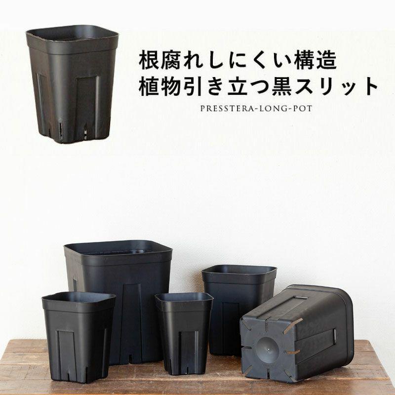 黒いスリット鉢 プレステラ深型 シンプル スタイリッシュ 緑が引き立つ