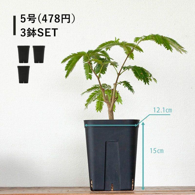 破格‼︎ 植物引退セットセット　※植物なしです。 黒いスリット鉢 プレステラ深型 シンプル スタイリッシュ 緑が引き立つ