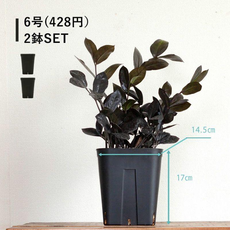 破格‼︎ 植物引退セットセット　※植物なしです。 楽天市場】ひとえの可憐な花咲くミニバラ栽培セット ミニバラ バラ