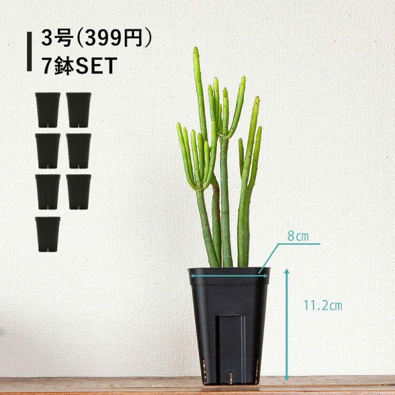 破格‼︎ 植物引退セットセット　※植物なしです。 黒いスリット鉢 プレステラ深型 シンプル スタイリッシュ 緑が引き立つ