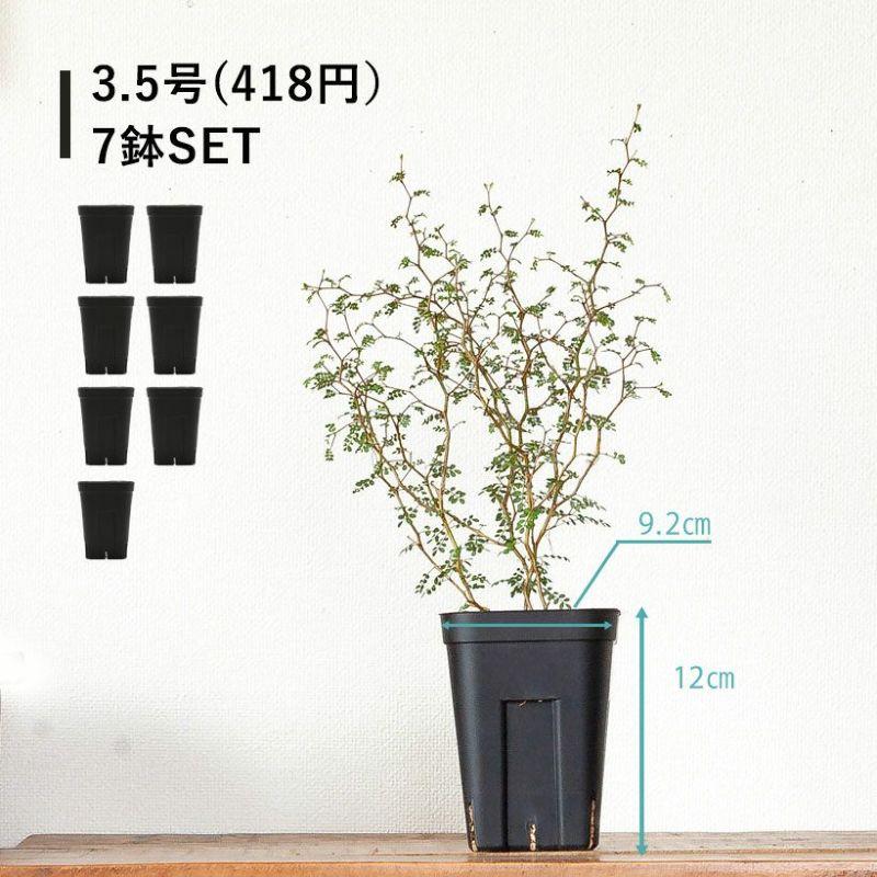 【新品大量セット】プレステラ 鉢 植木鉢 観葉植物 合計277個 まとめ売り 新品大量セット】プレステラ 鉢 植木鉢 観葉植物 合計277個 まとめ売り