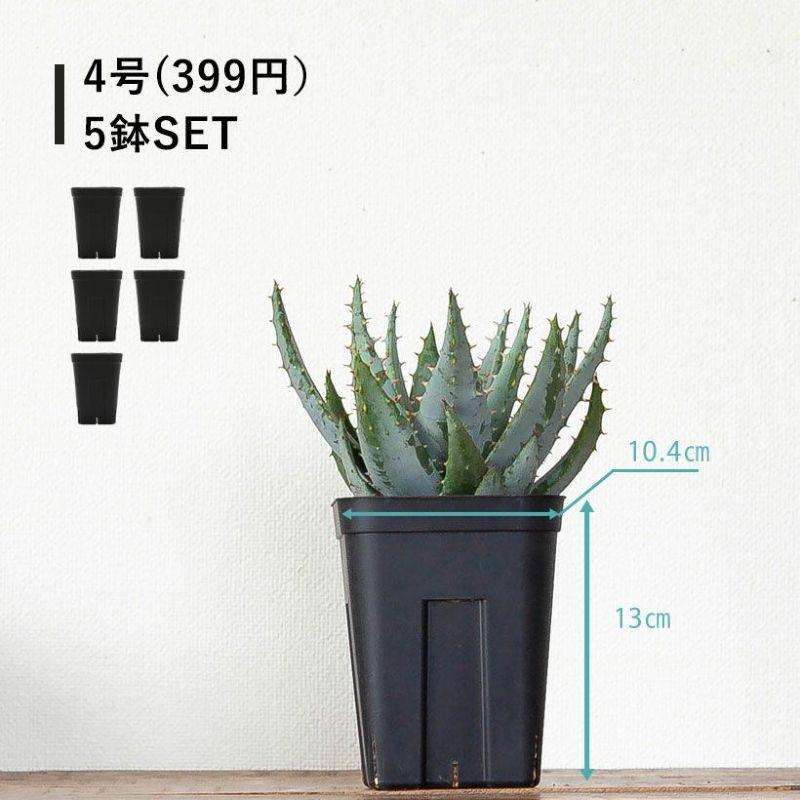 破格‼︎ 植物引退セットセット　※植物なしです。 黒いスリット鉢 プレステラ深型 シンプル スタイリッシュ 緑が引き立つ
