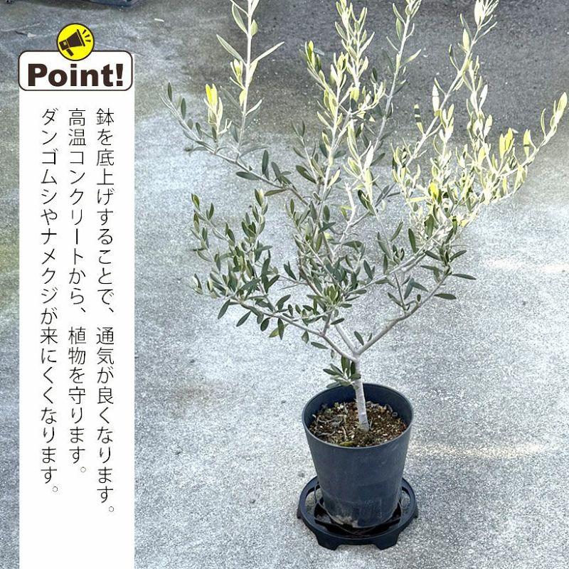 園芸 置き台 庭 花 ガーデニング 何かと使える♪便利な置き台 : e-花屋