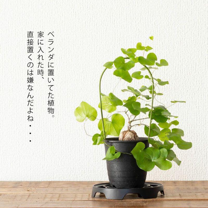 園芸 置き台 庭 花 ガーデニング 何かと使える♪便利な置き台 : e-花屋