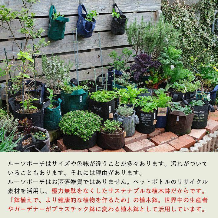 ルーツポーチ BIGサイズ（直径50cm ＃20） 鉢 root pouch 不織布 植木鉢 プランター 鉢カバー おしゃれ 軽い 植物 布鉢 植え替え 20ガロン 大きい |  | 10