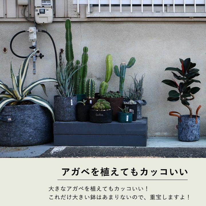 ルーツポーチ BIGサイズ（直径50cm ＃20） 鉢 root pouch 不織布 植木鉢 プランター 鉢カバー おしゃれ 軽い 植物 布鉢 植え替え 20ガロン 大きい |  | 02