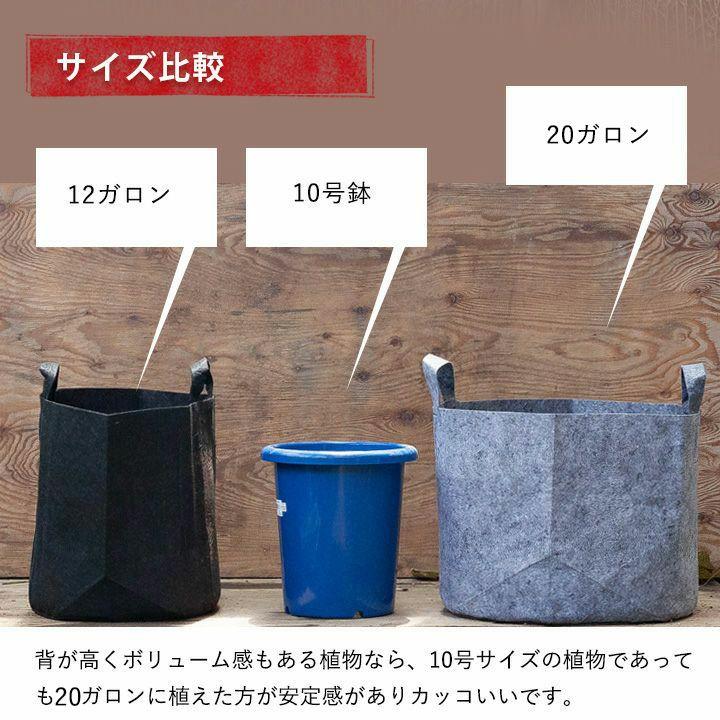 ルーツポーチ BIGサイズ（直径50cm ＃20） 鉢 root pouch 不織布 植木鉢 プランター 鉢カバー おしゃれ 軽い 植物 布鉢 植え替え 20ガロン 大きい |  | 05