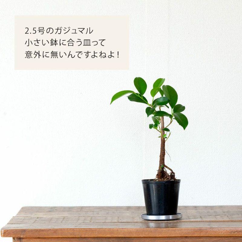 普通の鉢でも「お洒落に見せてくれる」受皿（2号〜2.5号鉢向け）受け皿