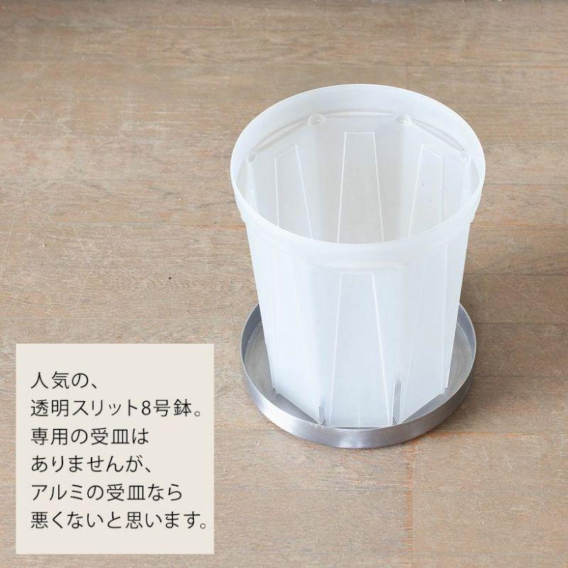 普通の鉢でも「お洒落に見せてくれる」受皿（直径23cm）受け皿 23cm