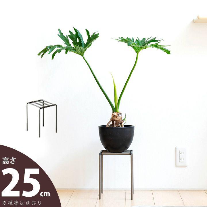 花台　フラワースタンド 花台 スタンド フラワースタンド アンティーク アイアン 鉢置き