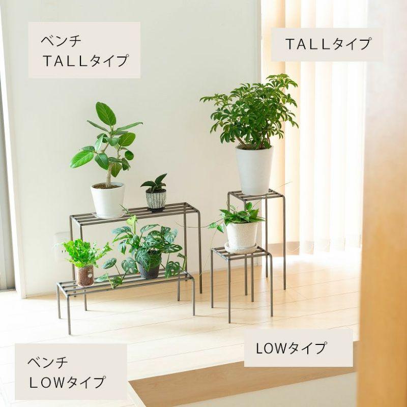 フラワースタンド 花台 アイアン プランター 観葉植物 おしゃれ スマートアイアンSTAND（LOWタイプ）｜e-8783｜06