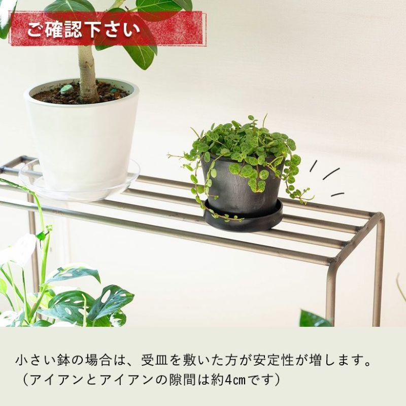 フラワースタンド 花台 アイアン プランター 観葉植物 おしゃれ スマートアイアンSTAND（TALLタイプ）｜e-8783｜13