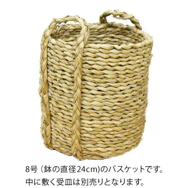 鉢 鉢カバー バスケット 室内 おしゃれ 藤カゴ 持ち手が可愛い