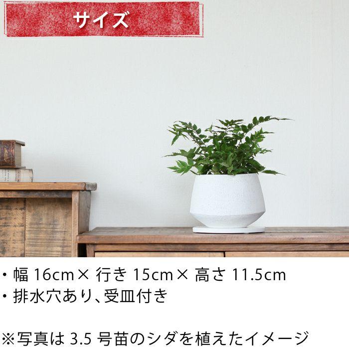 植木鉢 おしゃれ 室内 陶器 楕円形の植木鉢 Lサイズ : e-花屋さん