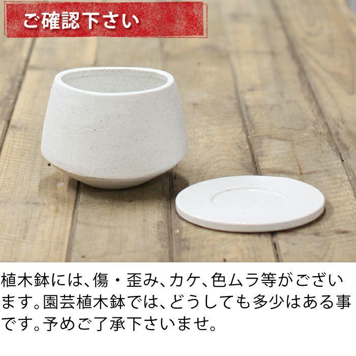 植木鉢 おしゃれ 室内 陶器 楕円形の植木鉢 Lサイズ : e-花屋さん