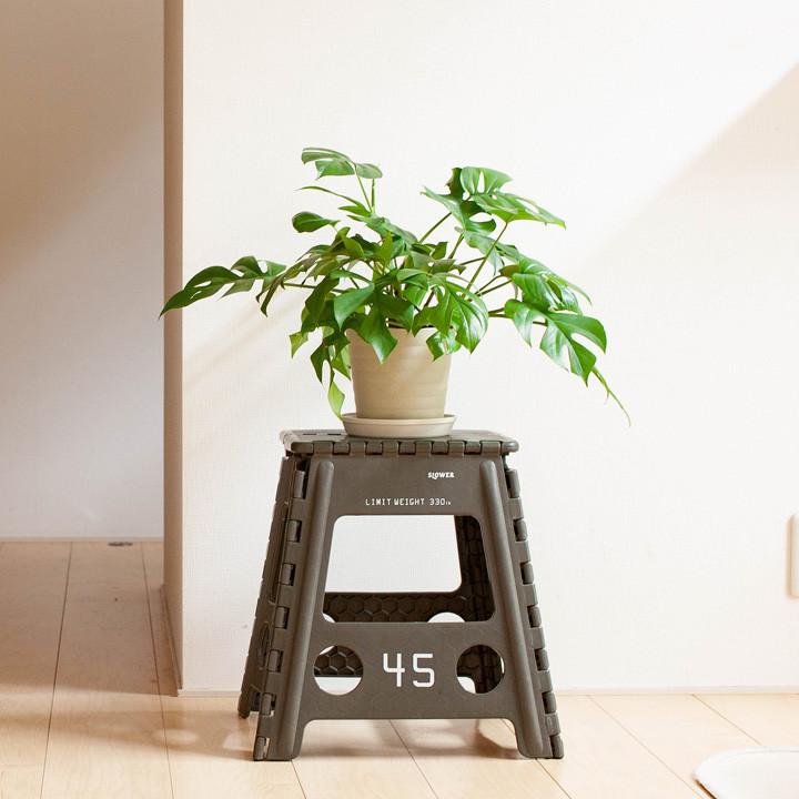 吊り下げ植物も これがあると楽チン折り畳み式踏み台 スツール Segurosaurora Com