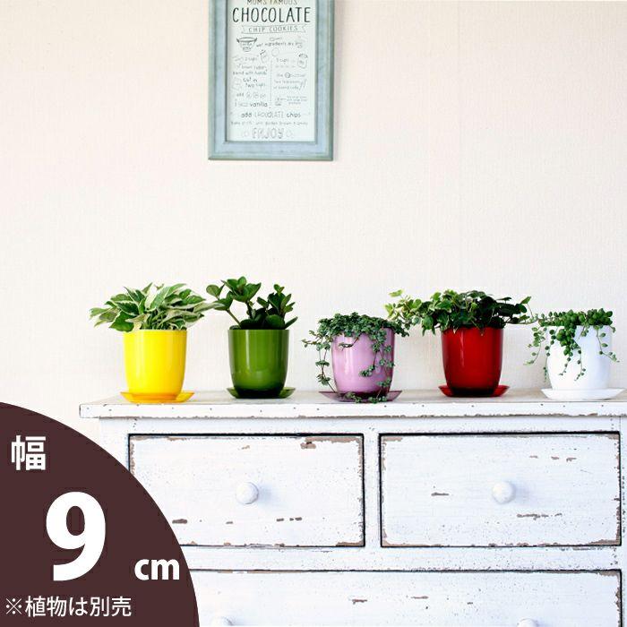 鉢 プラスチック 鉢カバー おしゃれ カラフル 植え替えガラスのような