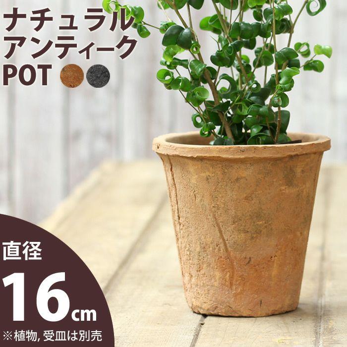 アンティーク鉢 aarde-pot_t07-is101m